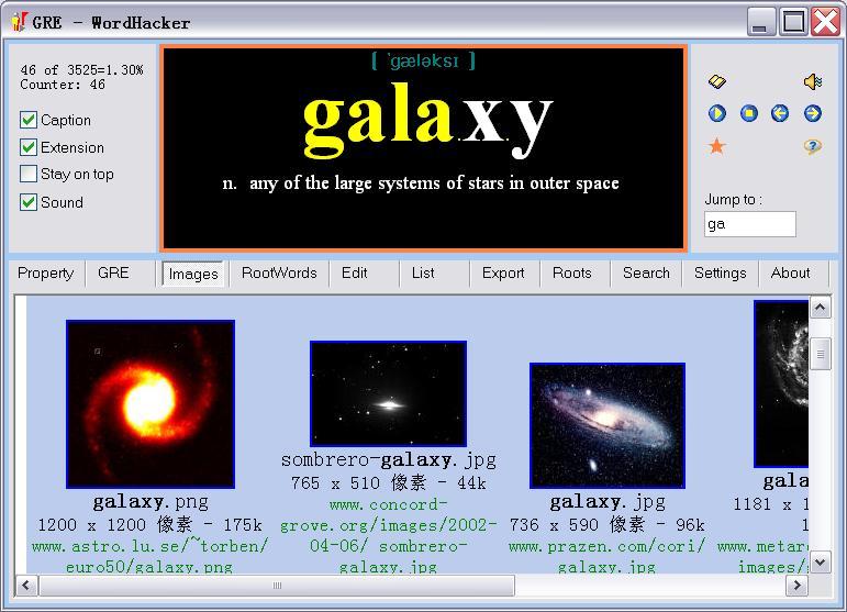 WordHacker Golden Edition Screenshot